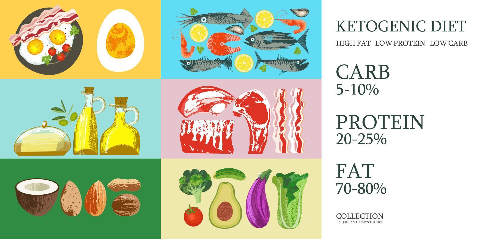 ketogeen dieet. een groot aantal producten voor het keto dieet. vectorillustratie. vlees, vis, groenten, oliën, noten, eieren. kleurrijke poster met verschillende producten. vector