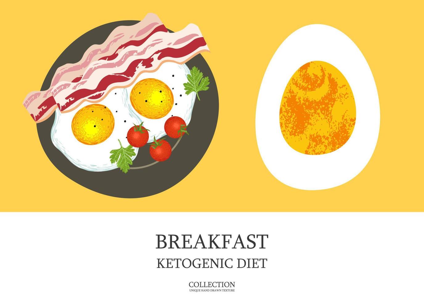 ontbijt. geweldig ontbijt voor een ketogeen dieet. spek en eieren. vectorillustratie. vector