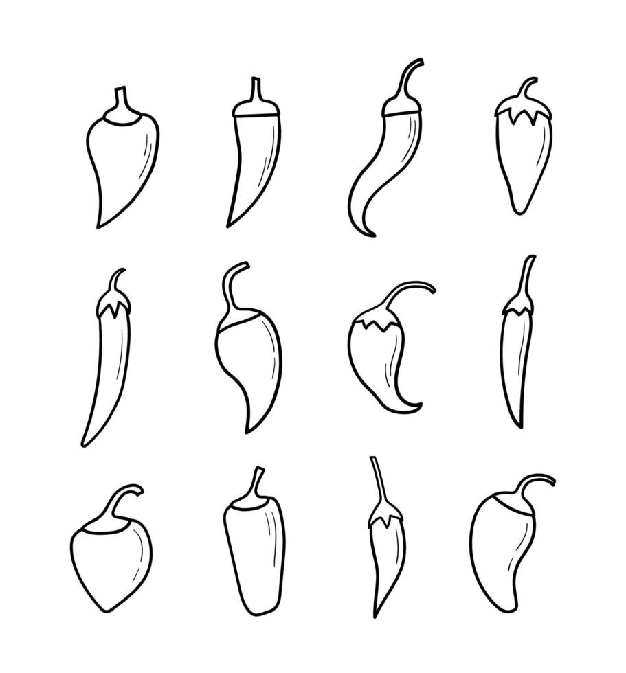chili pepers instellen. doodle schets. lineaire vectorillustratie. vector