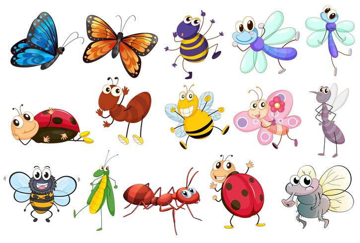 Set van verschillende insecten vector