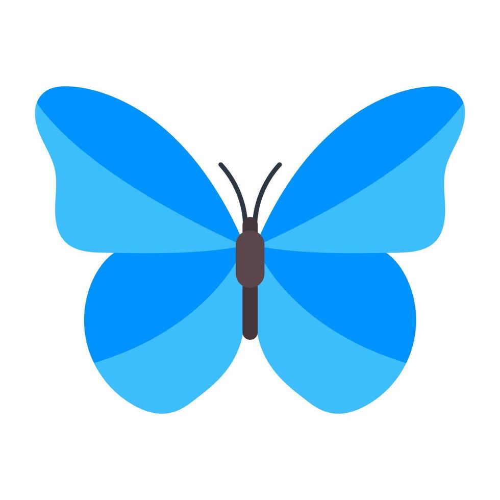 blauwe morpho vlinder vector