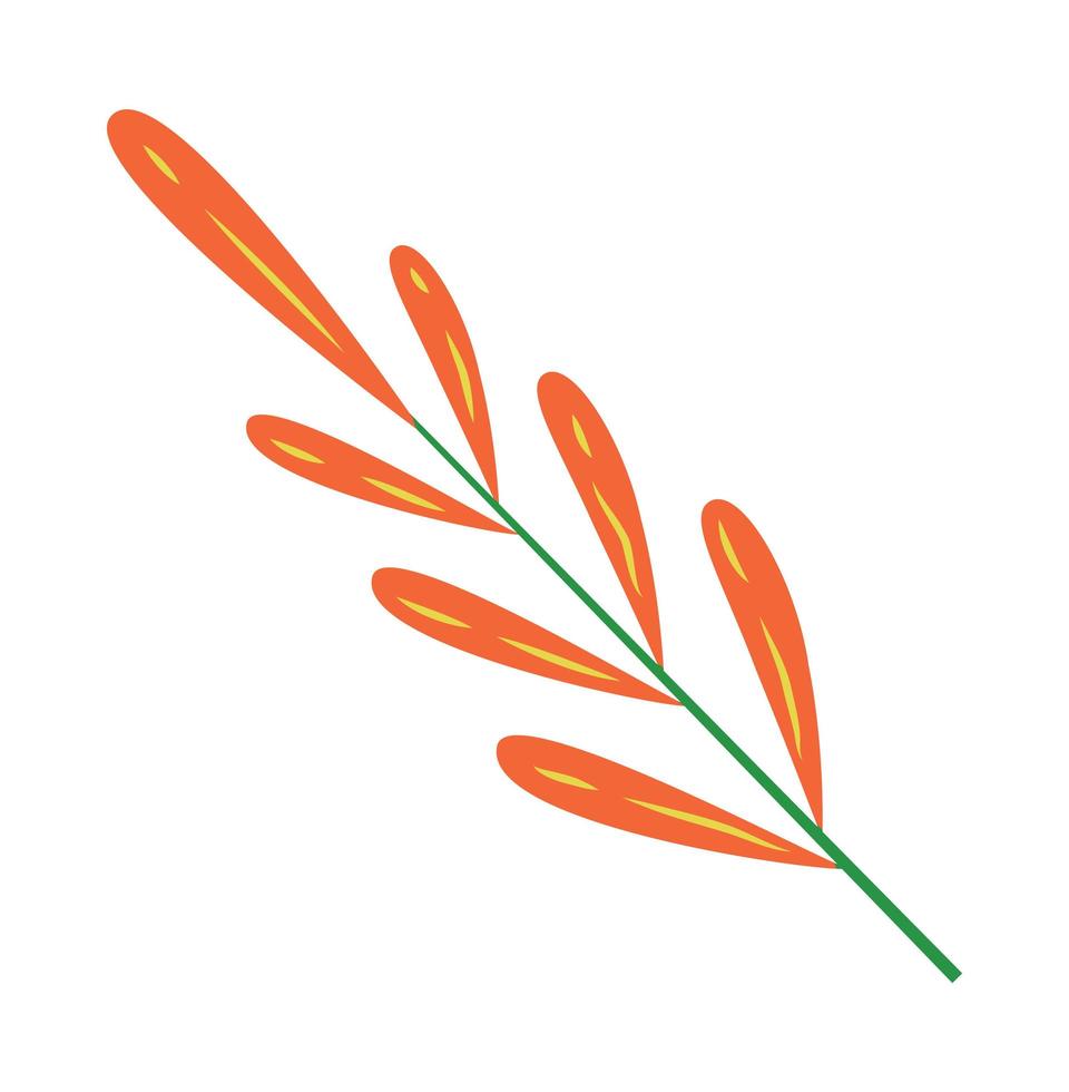 bloem bloemen geïllustreerd arrangement vector