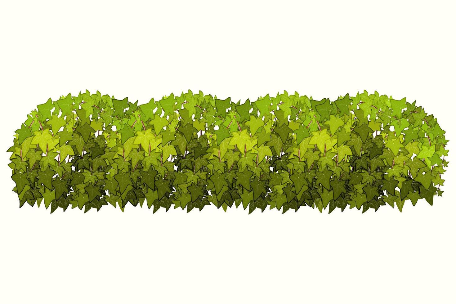 siergroene plant in de vorm van een haag.klimopboog.realistische tuinstruik, seizoensstruik, buxus, boomkroonstruikblad. vector