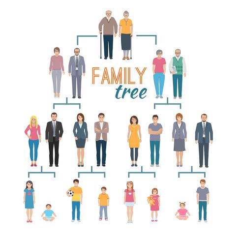 Genealogie Boom Illustratie vector