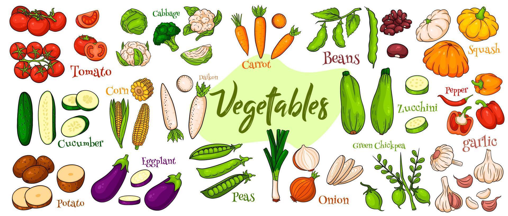 vector groenten pictogrammen in cartoon stijl. grote reeks.