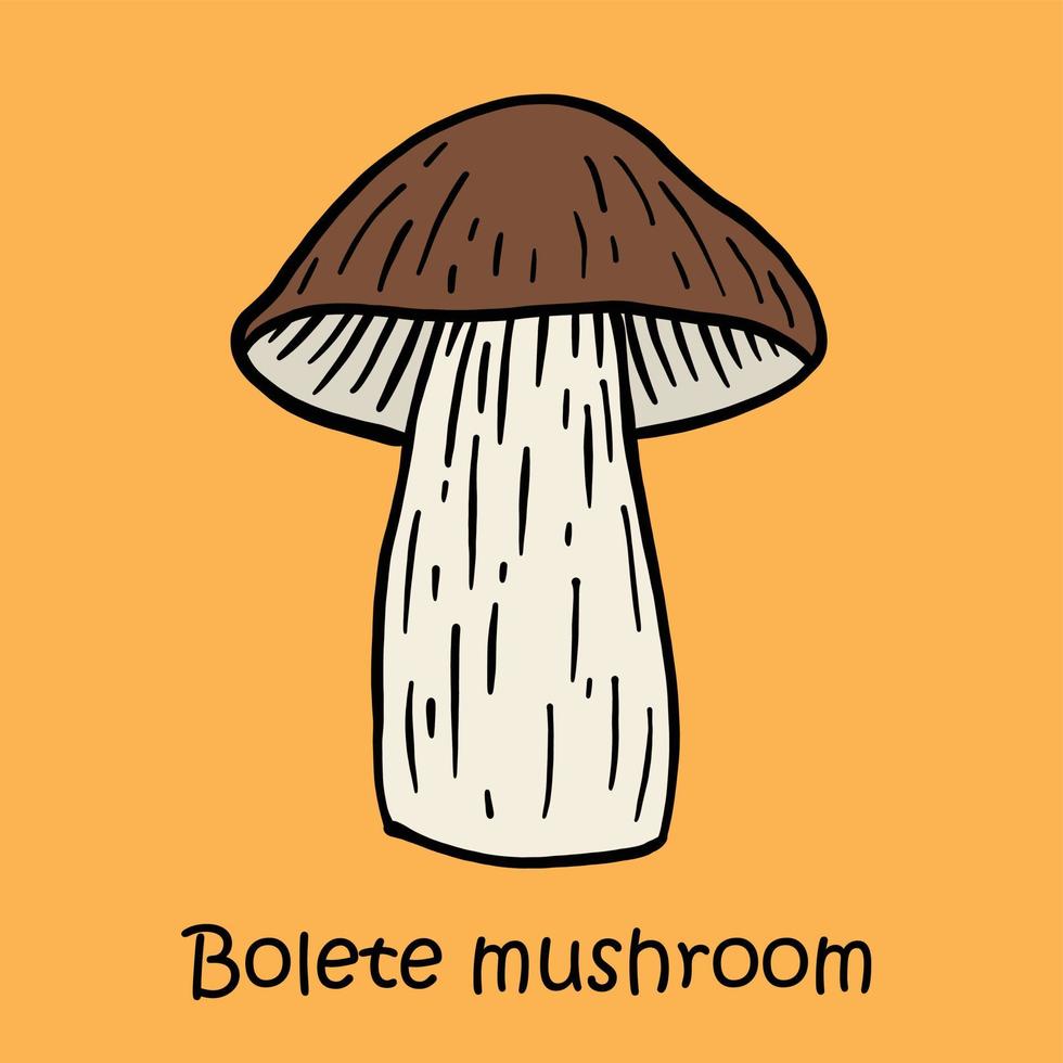 doodle uit de vrije hand schets tekening van boleet paddestoel. vector