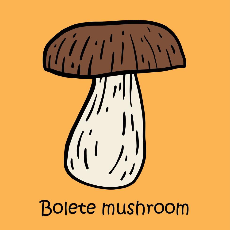 doodle uit de vrije hand schets tekening van boleet paddestoel. vector