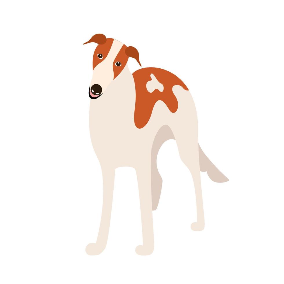 borzoi hondenras. cartoon hond geïsoleerd op een witte achtergrond. vectorillustratie van een huisdier flat vector