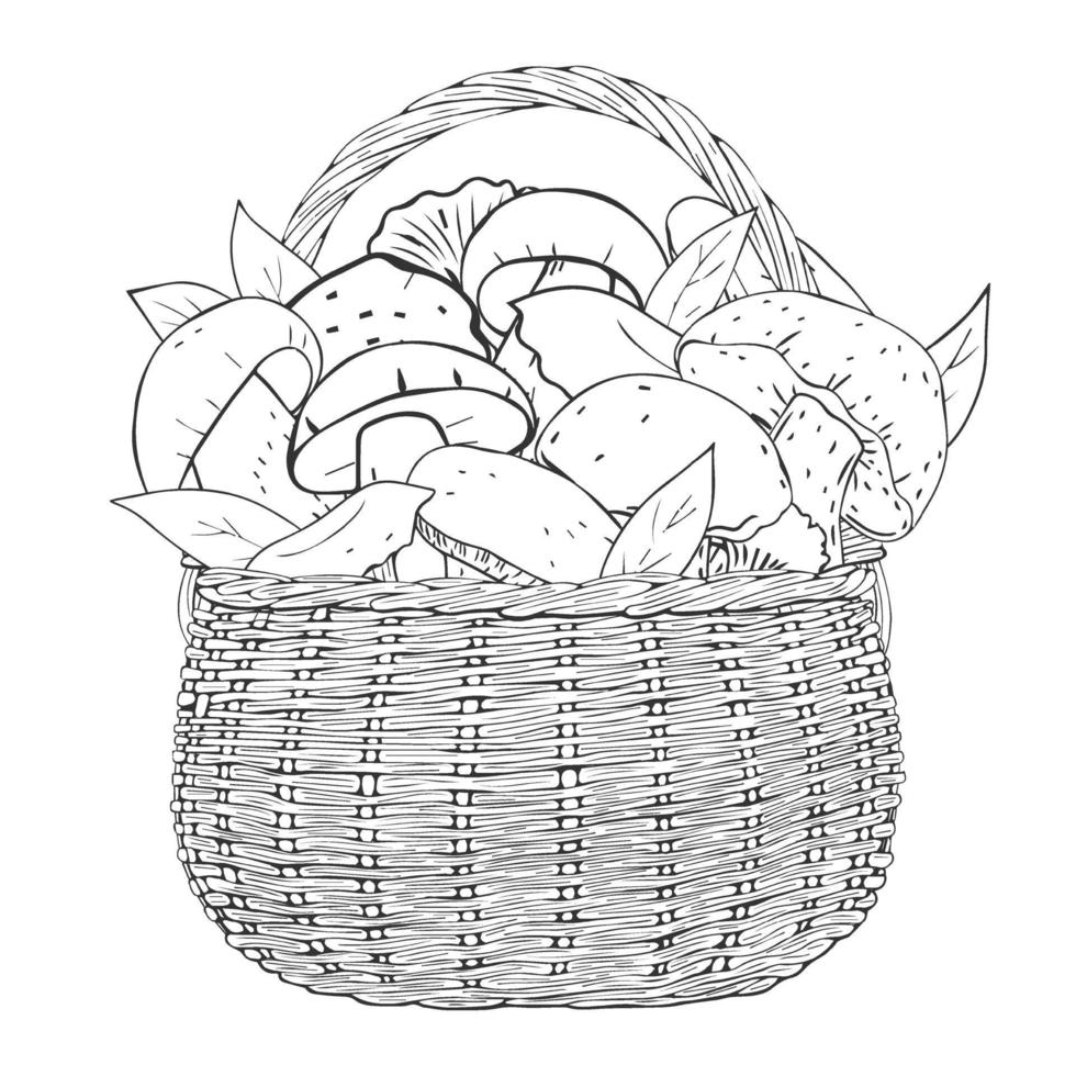 monochrome mand met champignons. vectorillustratie. geïsoleerd op wit. handgetekende afbeelding. vector