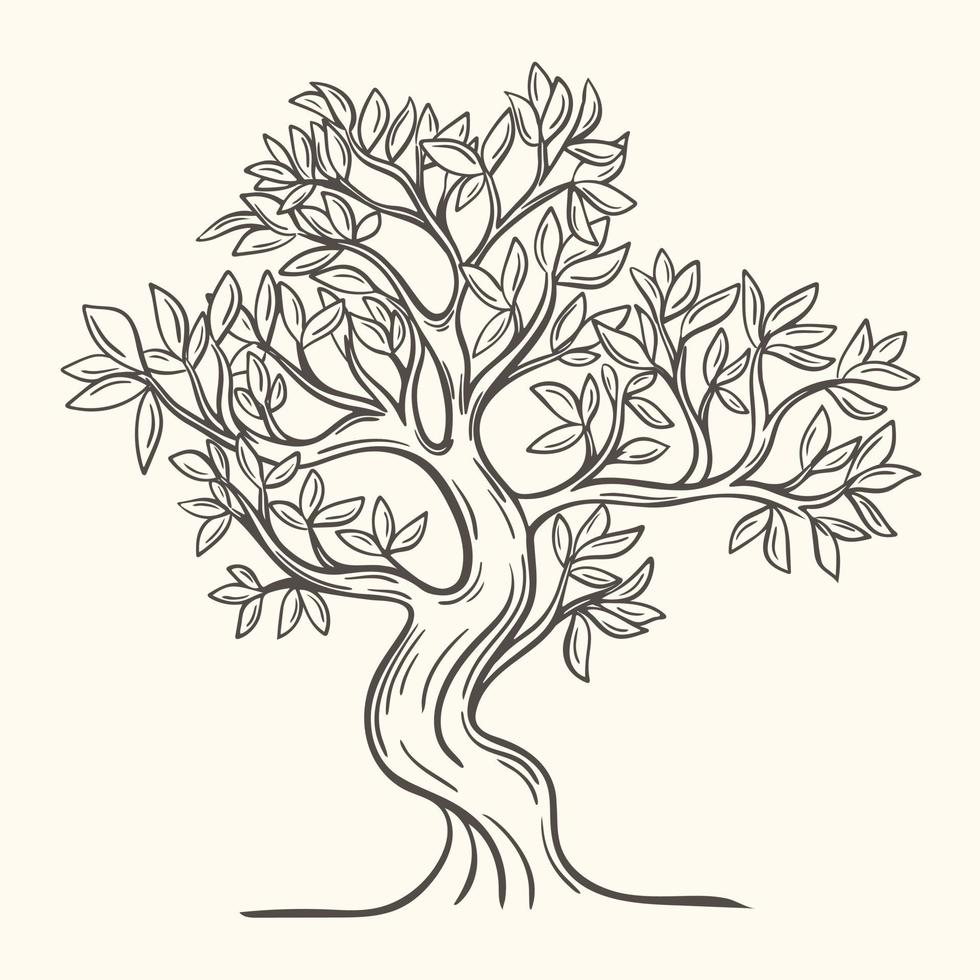 bladverliezende boom hand getekende geïsoleerde vectorillustratie vector