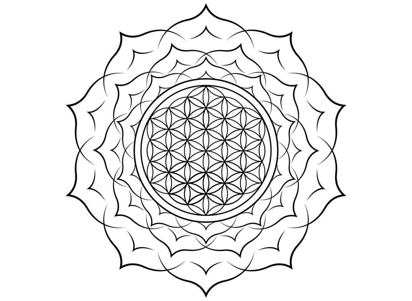 bloem van het leven, yantra mandala in de lotusbloem, heilige geometrie. zwarte print tattoo symbool van harmonie en balans. mystieke talisman, vector geïsoleerd op een witte achtergrond