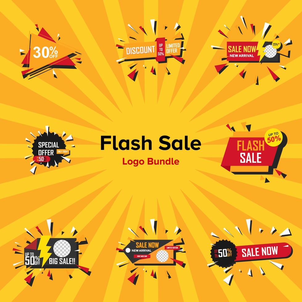 illustratie vectorafbeelding van flash sale logo bundel vector