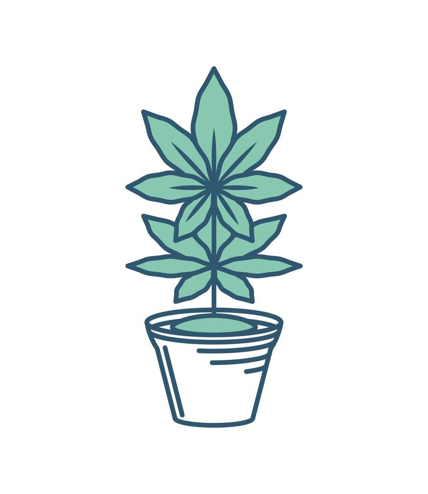 wietplant in pot vector