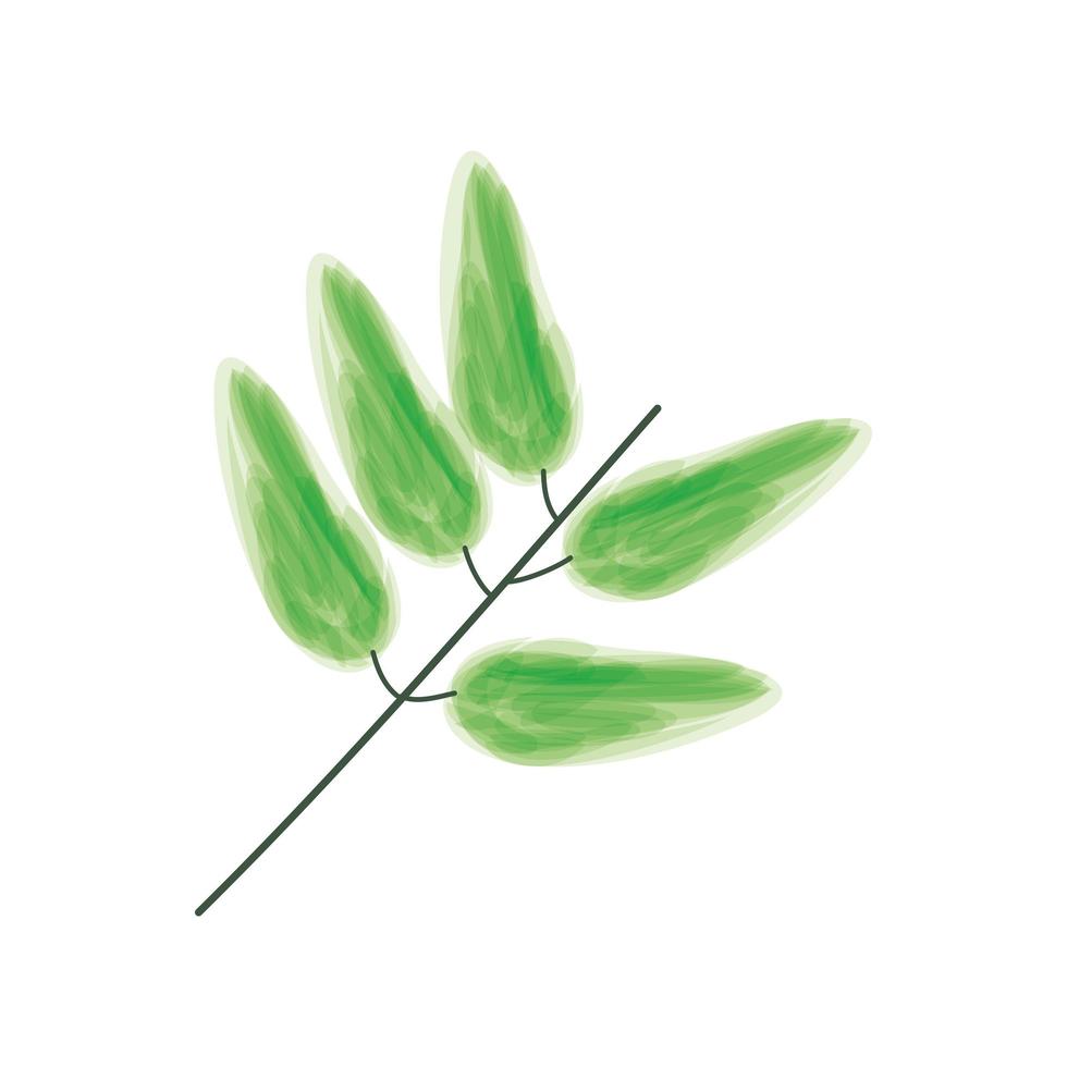 bladeren tak plant vector