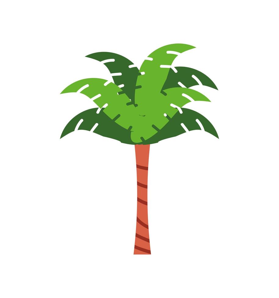 tropische palmboom vector