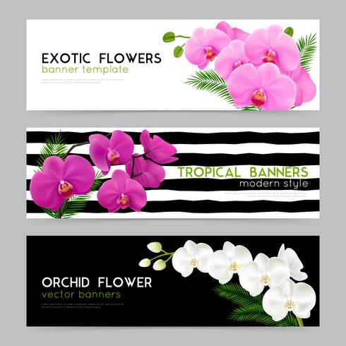 Blooming Orchids Realistische banners Set vector