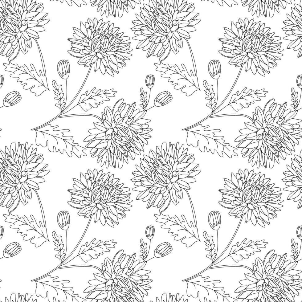 naadloze patroon met zwart omlijnde chrysant bloemen, knoppen en bladeren op een witte geïsoleerde achtergrond. vector