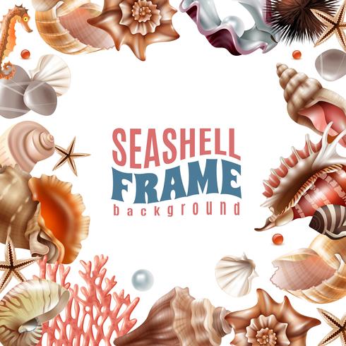 Seashell realistische frame vector