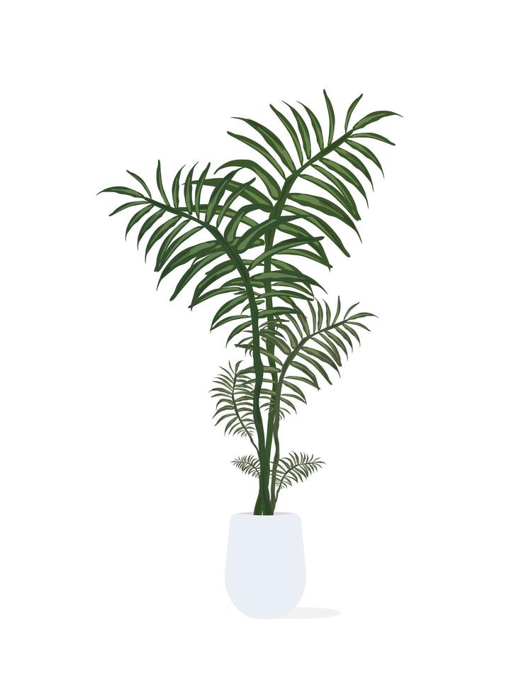 varen in een witte pot. plant voor thuis geïsoleerd op een witte achtergrond. vector