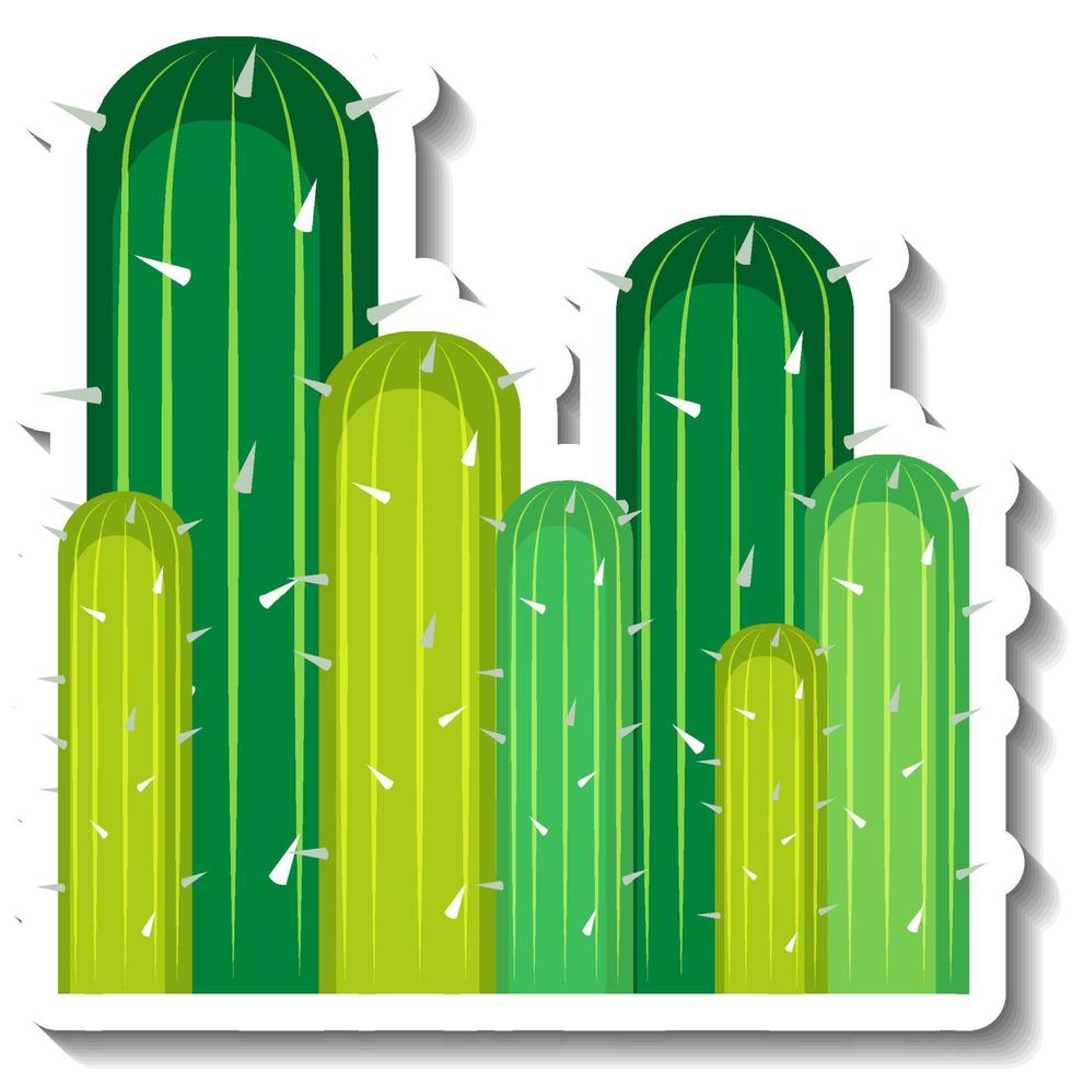 saguaro cactus plant op witte achtergrond vector