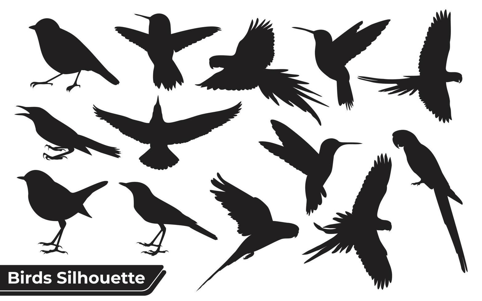 vliegende verschillende soorten vogels silhouet met vleugels vector