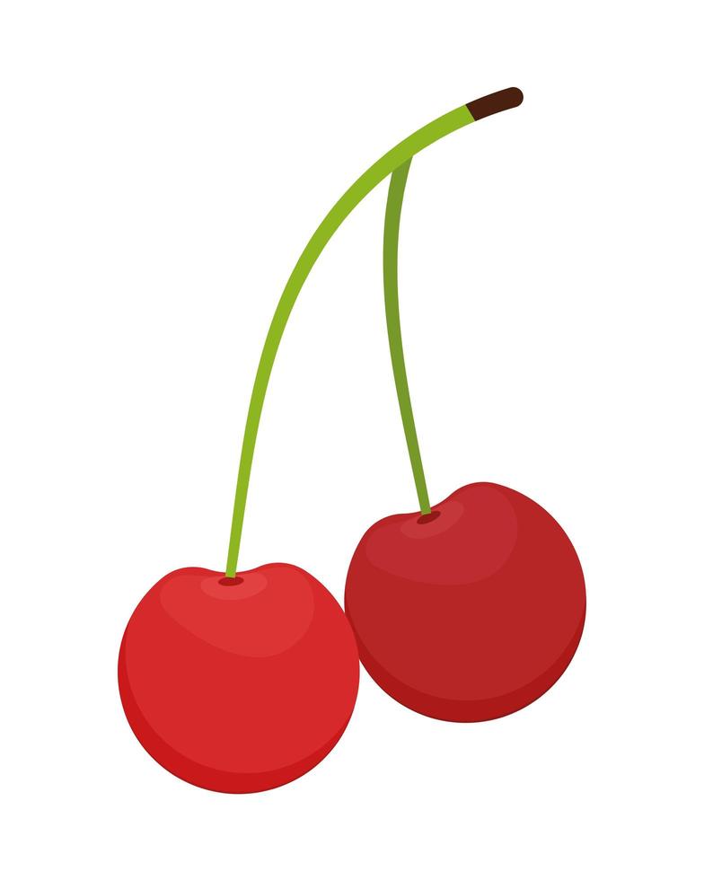 kersenfruit icoon vector