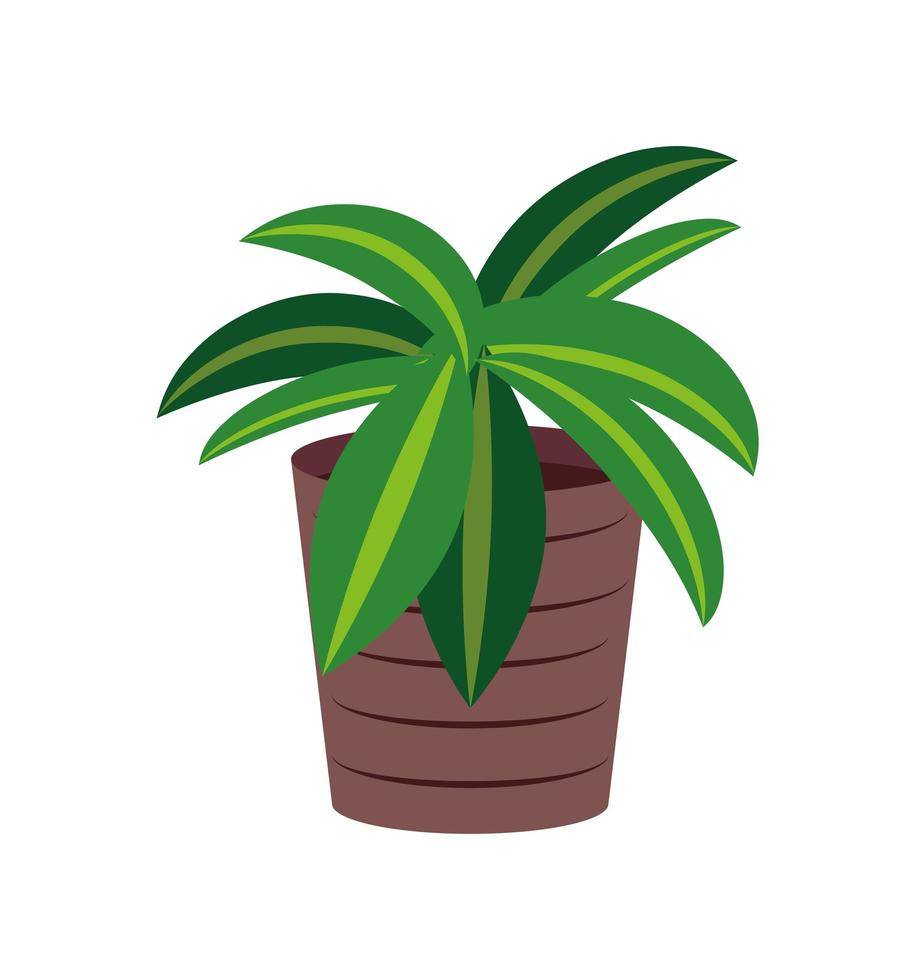 plant de natuur in pot vector