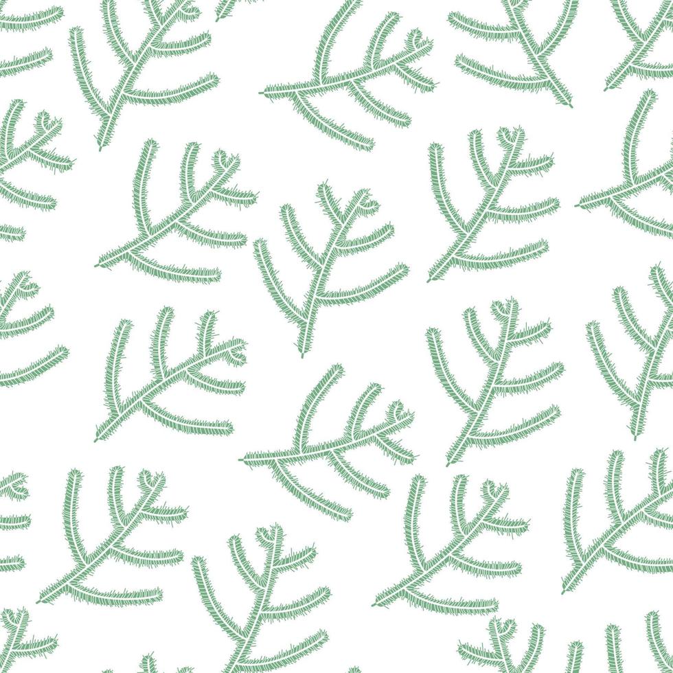 fir tree branch naadloze patroon, winter achtergrond. kersthulst, sparren takken vector
