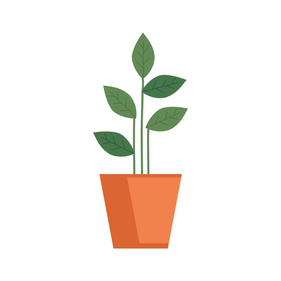 plant in huis pot geïsoleerde icon vector