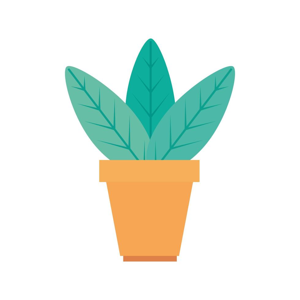 plant in huis pot geïsoleerde icon vector