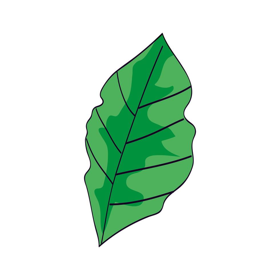 blad natuur ecologie geïsoleerde icon vector