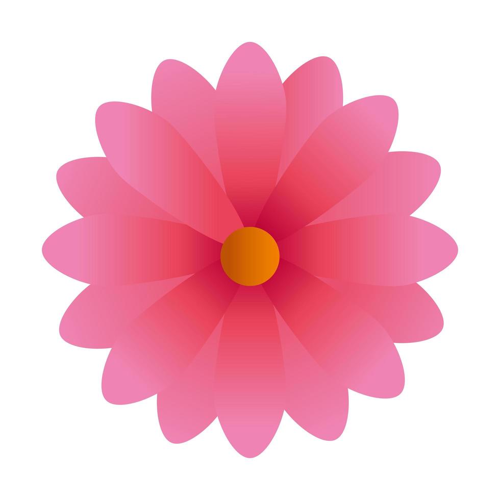 schattig bloem roze kleur geïsoleerd pictogram vector
