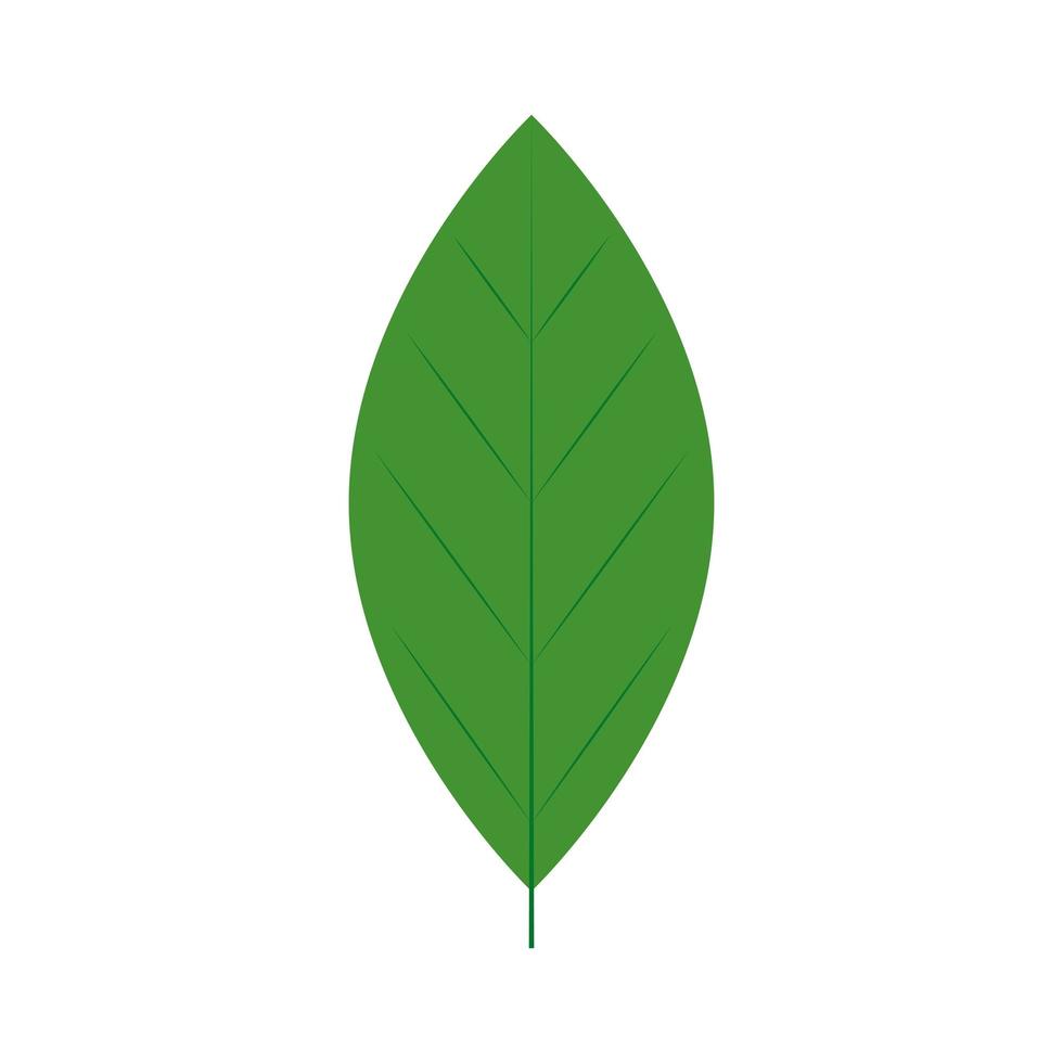 blad natuur ecologie geïsoleerde icon vector