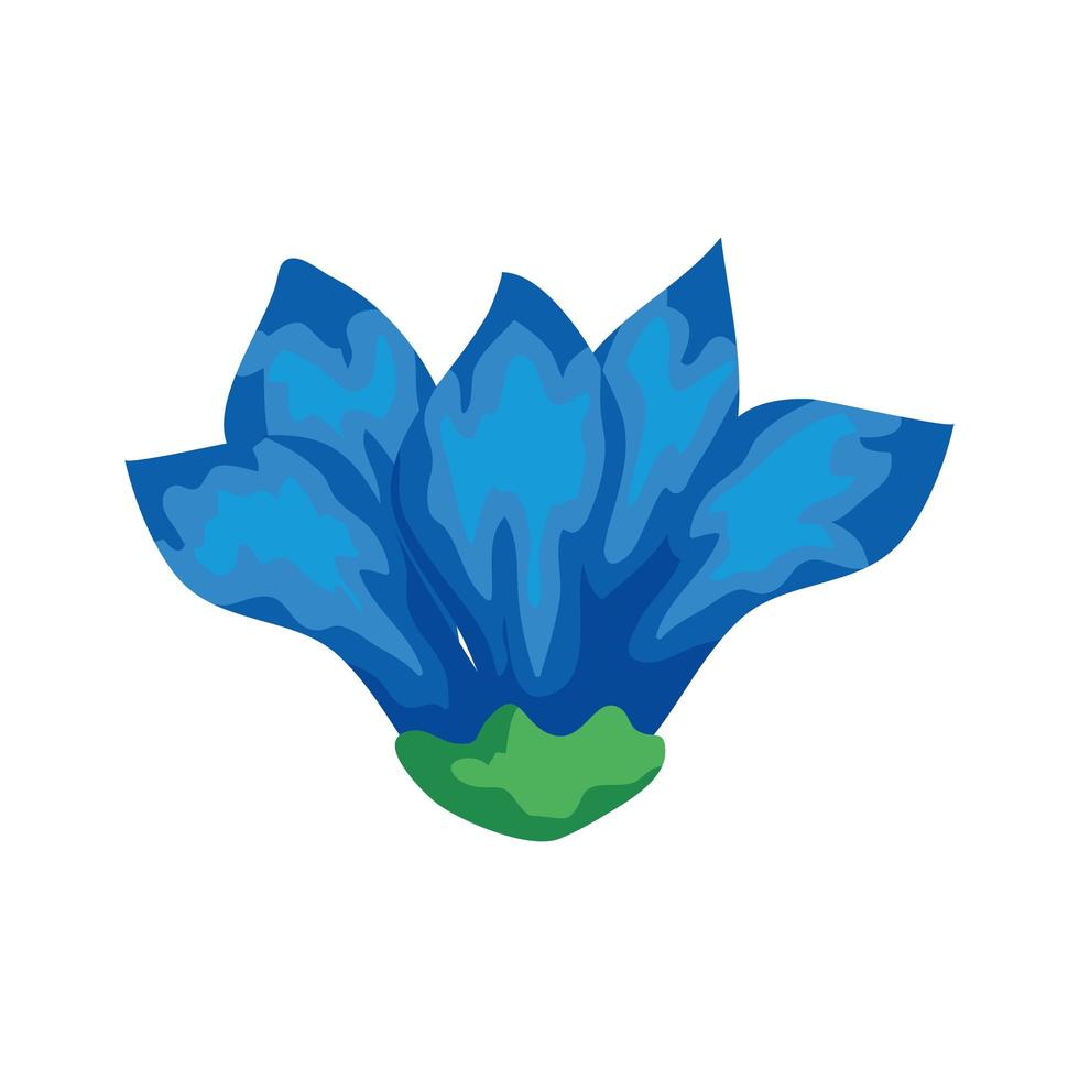 schattig bloem blauwe kleur geïsoleerd pictogram vector