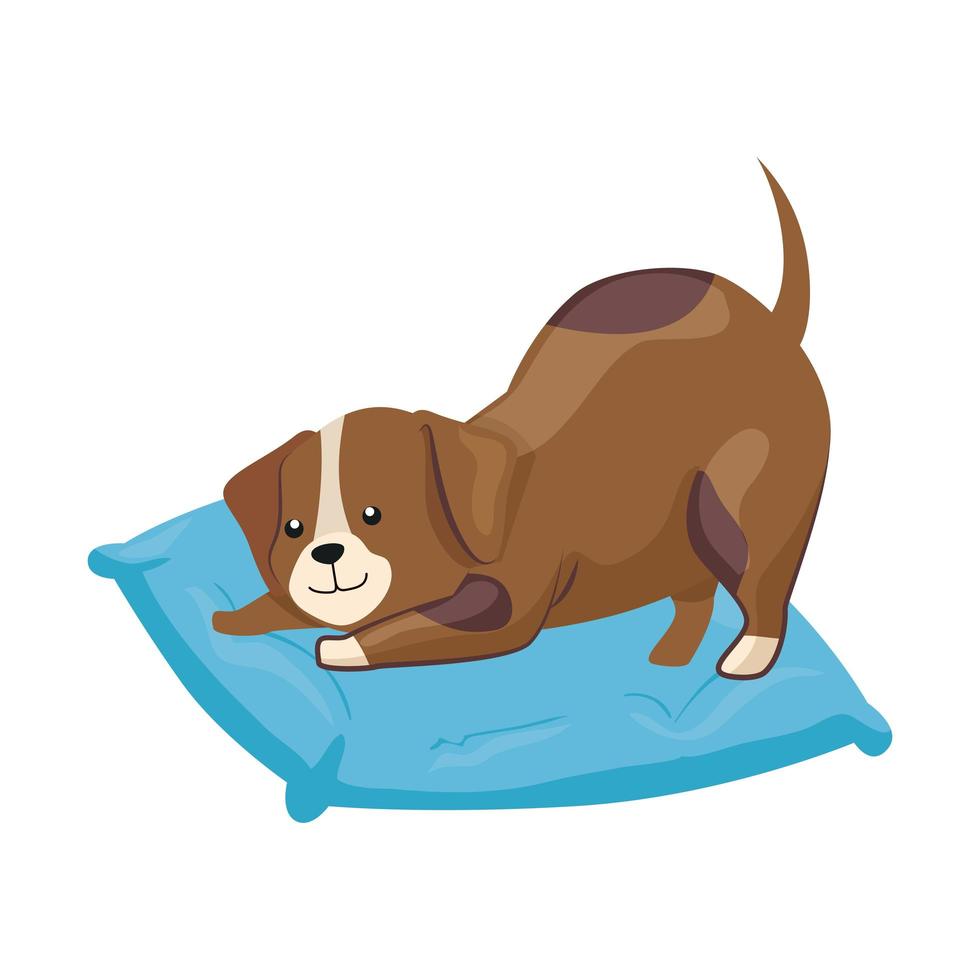 schattige hond in kussen geïsoleerd pictogram vector