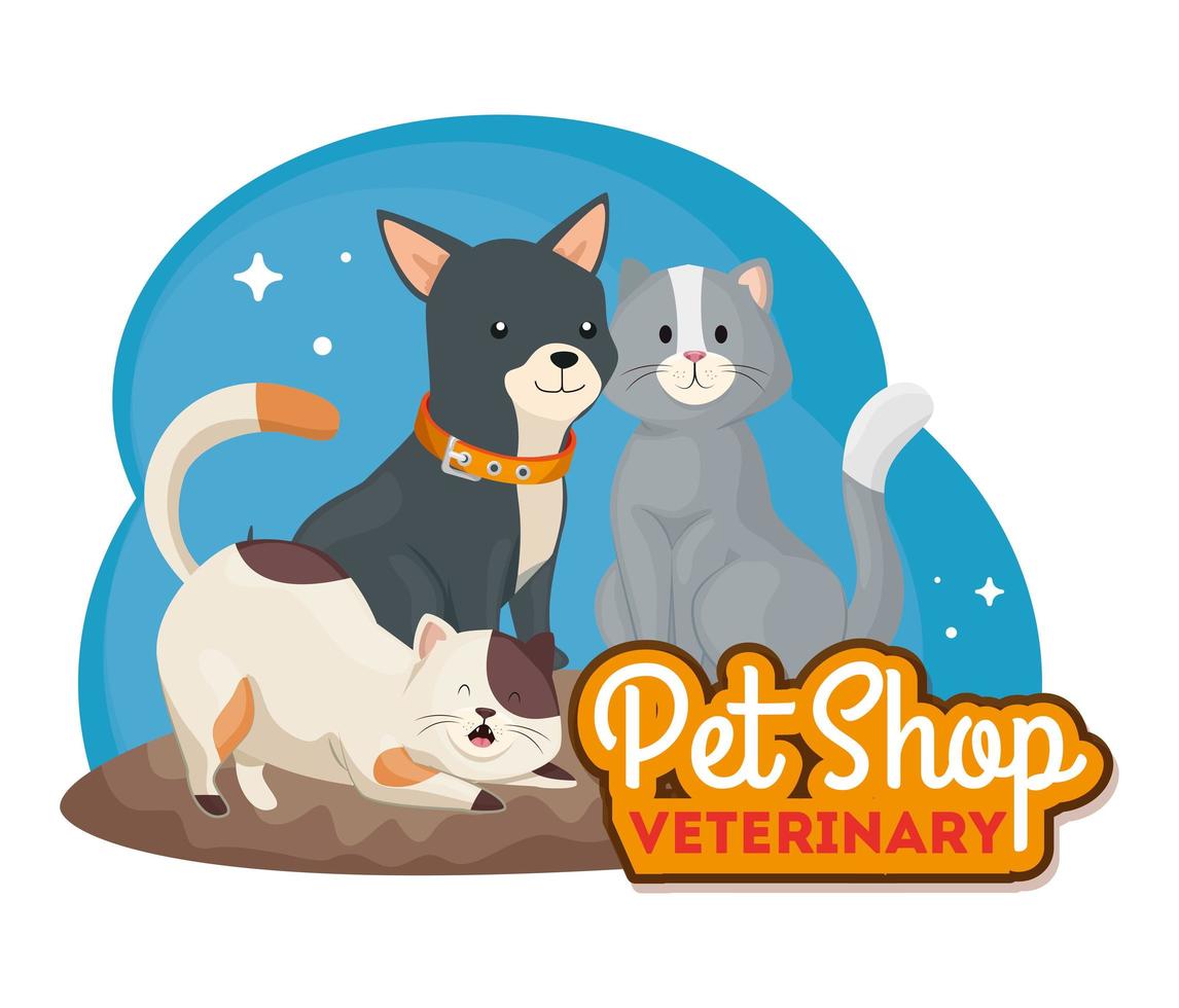 dierenwinkel dierenarts met schattige katten en hond vector