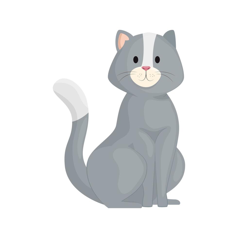 schattige kleine kat dier icoon vector