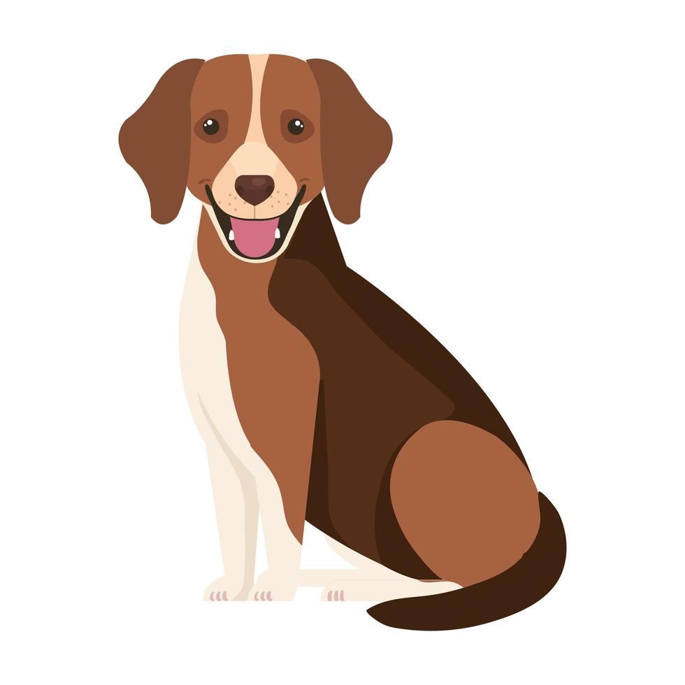 bruine hond met witte vlek geïsoleerde icon vector