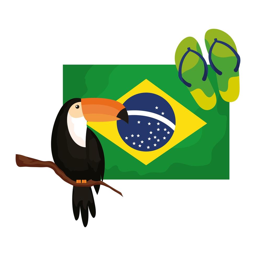 toekan en slippers met vlag brazilië vector