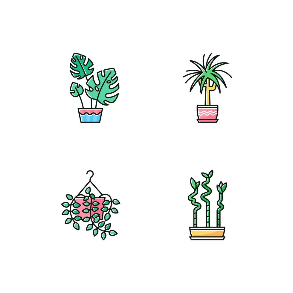 gedomesticeerde planten rgb kleur iconen set. kamerplanten. decoratieve kamerplanten. natuurlijk huis, kantoorinrichting. pothos, dracaena. monstera, geluksbamboe. geïsoleerde vectorillustraties vector