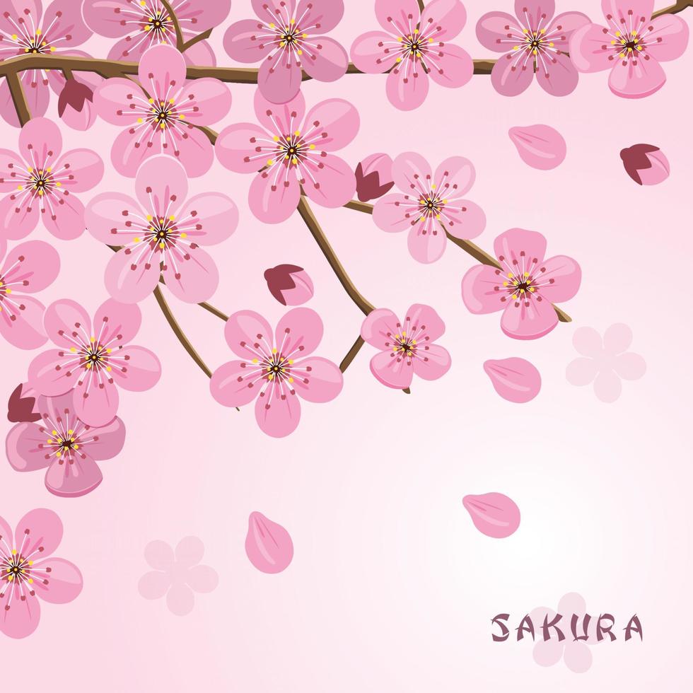 illustratie van sakura bloemen vector