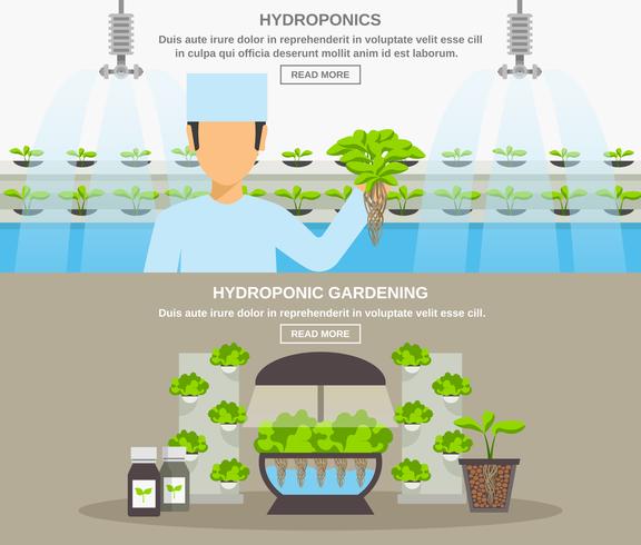 Hydroponic ontwerp illustratie vector