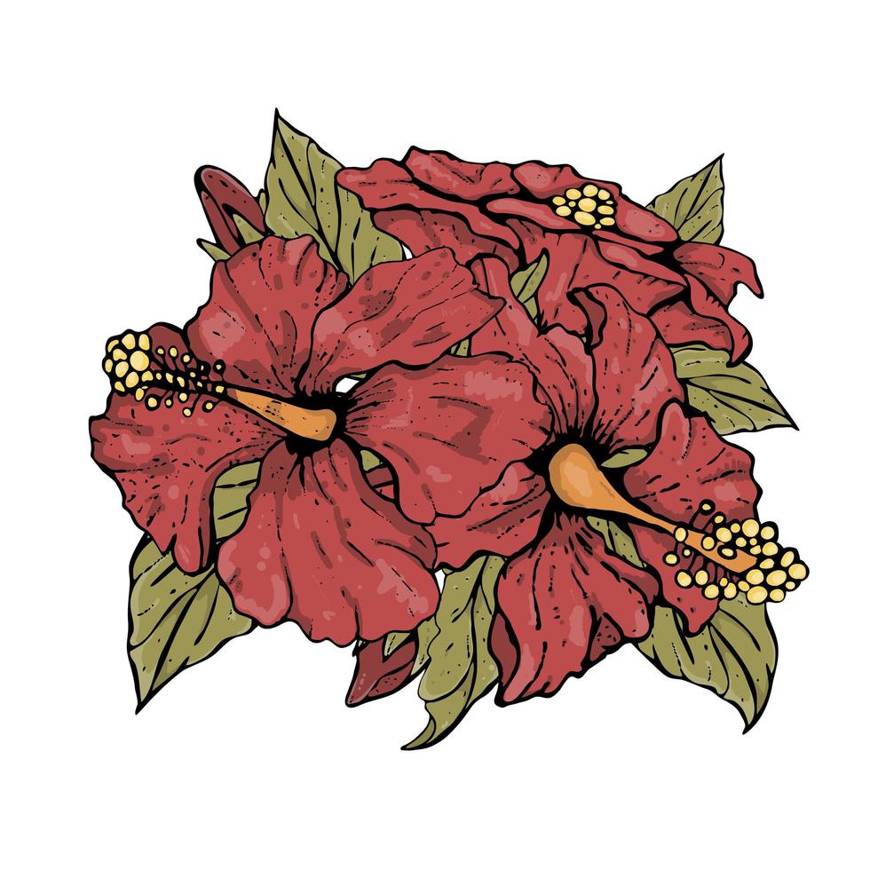 een prachtige hibiscusbloem voor op je verpakking. boeket bloemen. vector