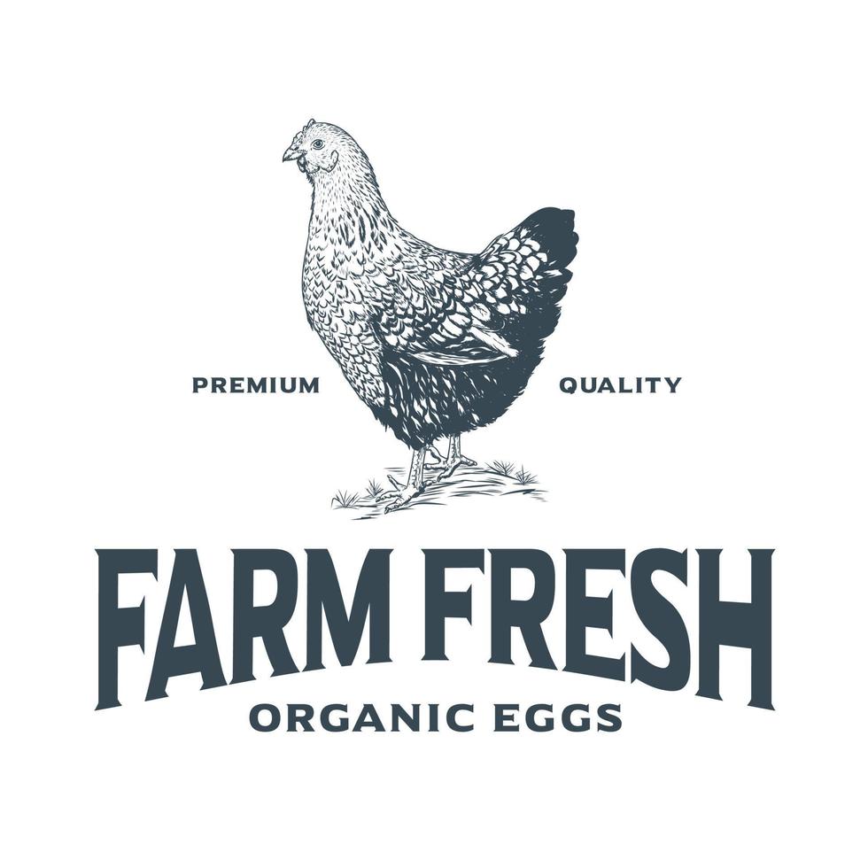 ontwerpsjabloon voor kippenboerderij rustiek logo vector