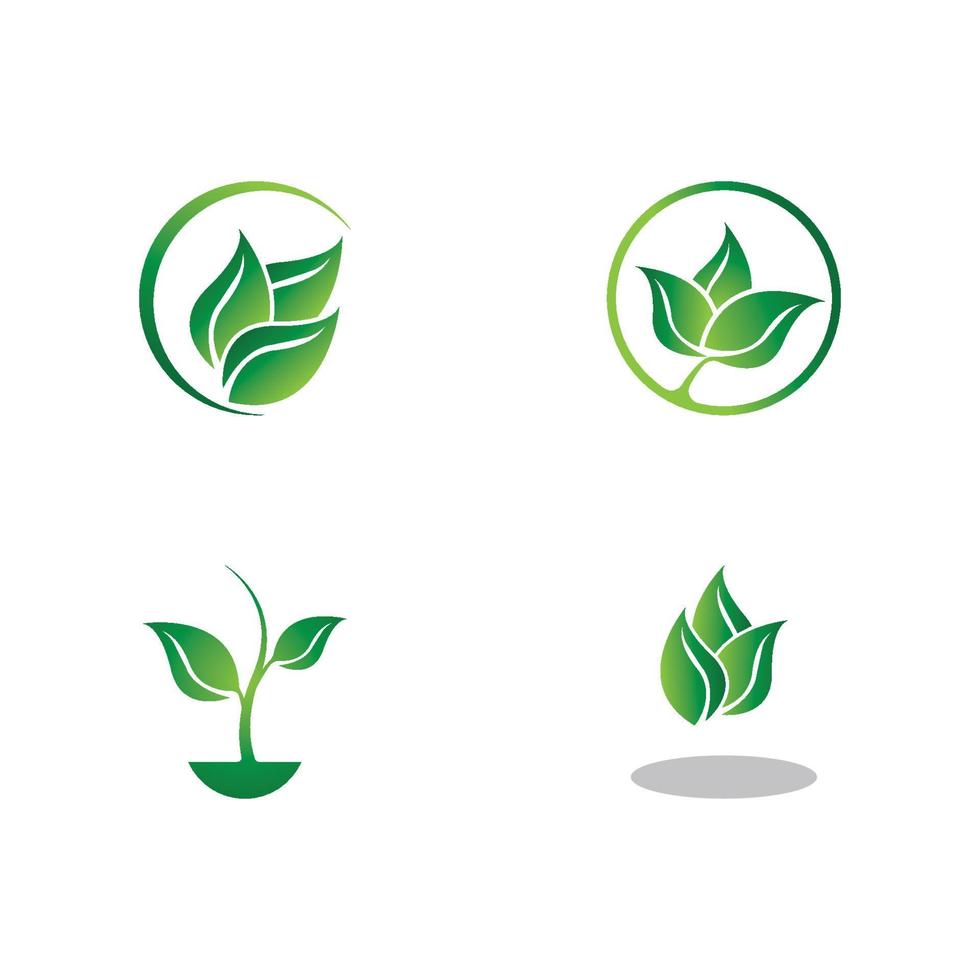 logo's van groene boom blad ecologie vector