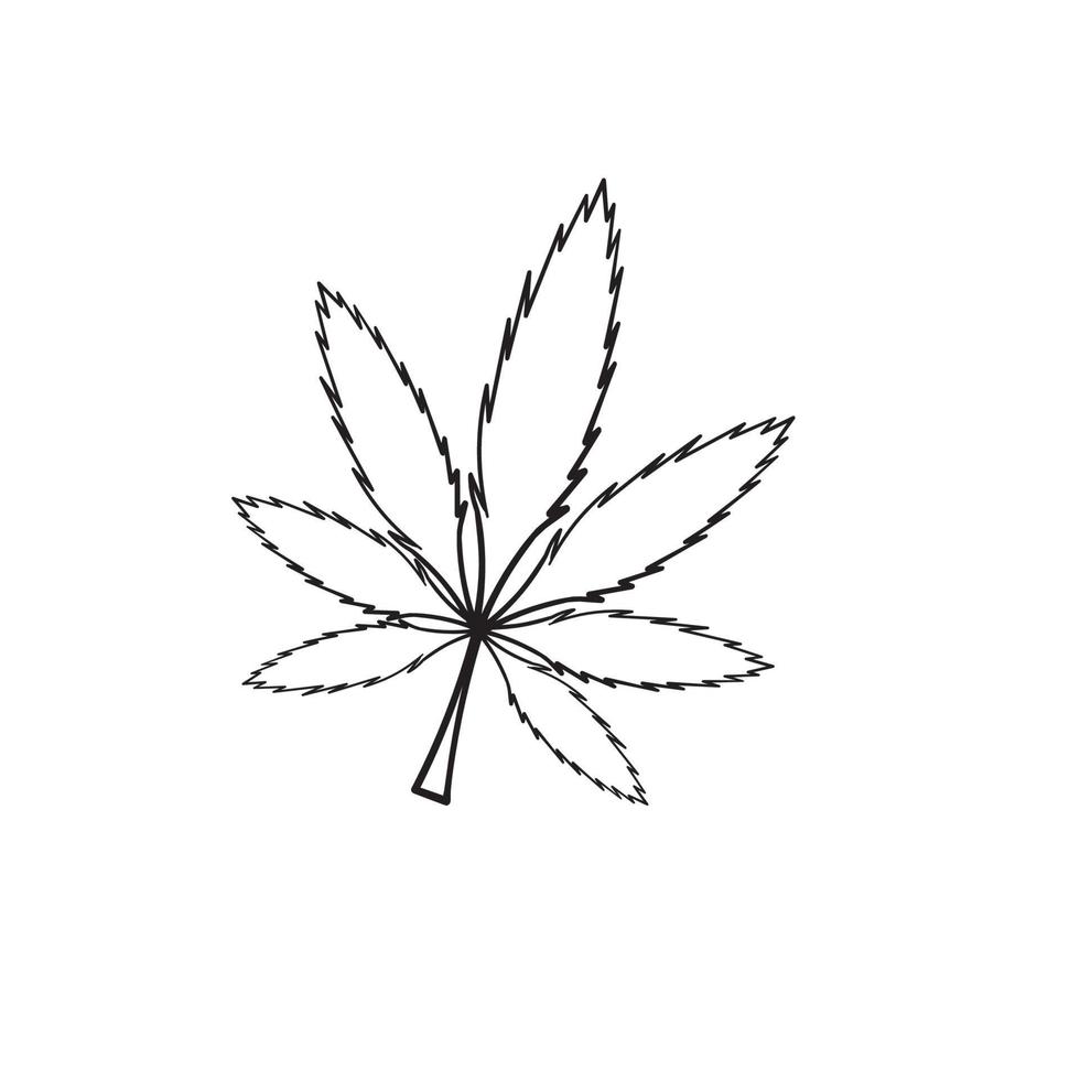 marihuana vector cannabis blad onkruid pictogram logo symbool teken illustratie afbeelding met hand getrokken doodle stijl vector