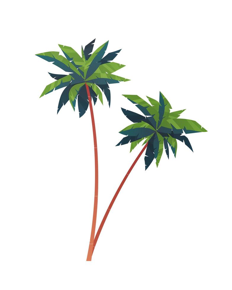 vectorillustratie van twee palmbomen vector