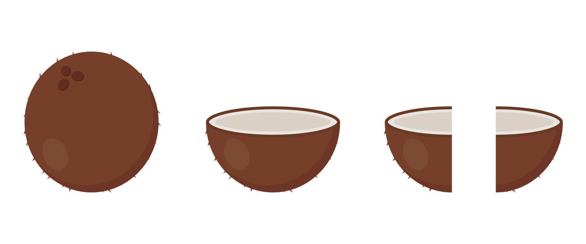 kokosnoot icoon in cartoon stijl. hele, halve en vierde deel van de kokosnoot. tropisch fruit. vector