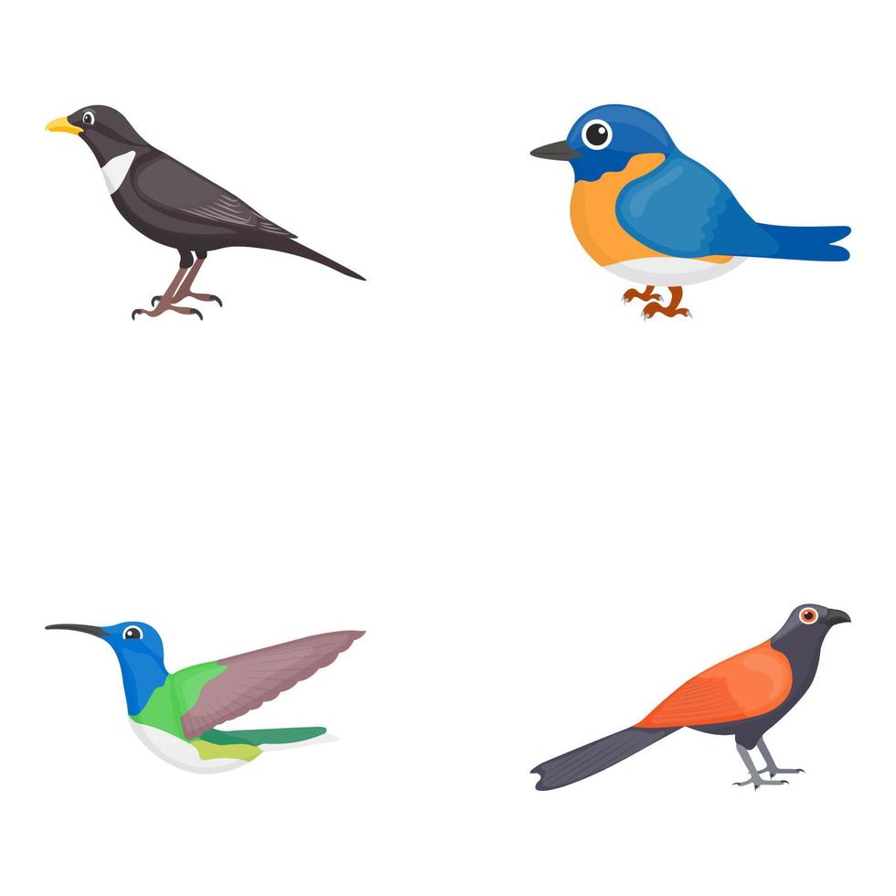 vogels lijst concepten vector