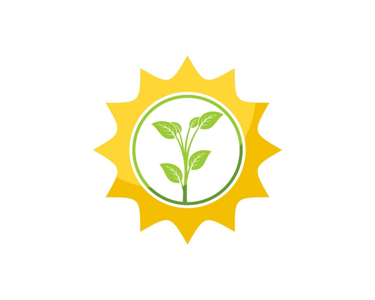stralende zon met groene planten erin vector